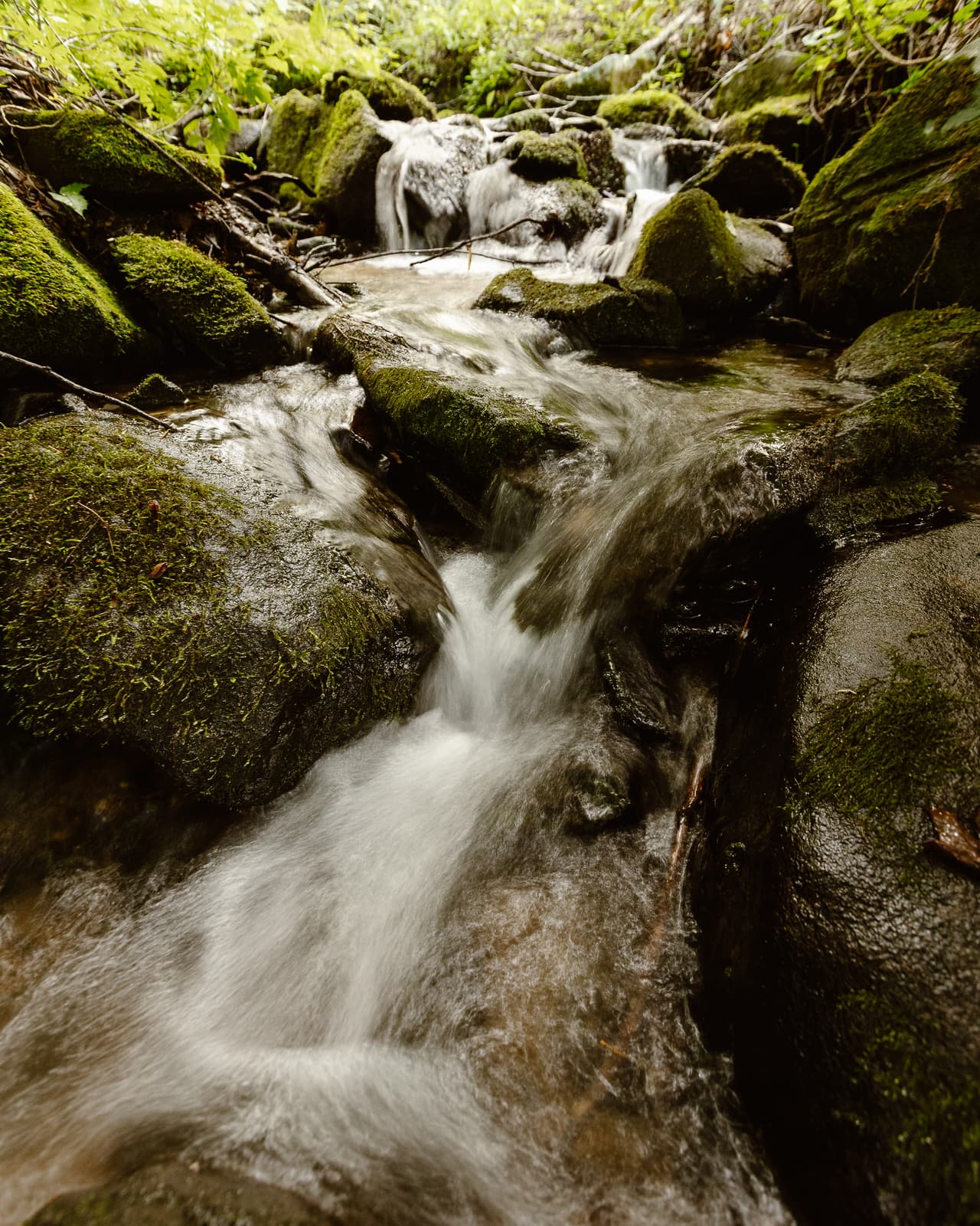 The creek on the grounds falling between mossy boulders